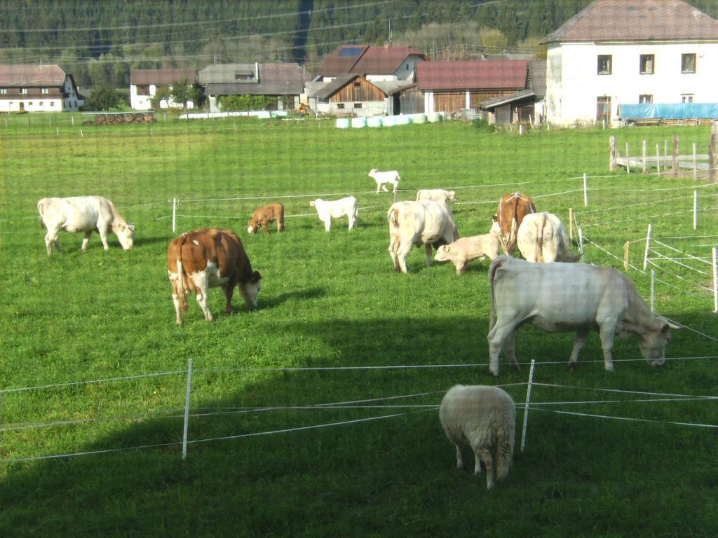 Ferienwohnung Millonigg Vorderberg Exterior foto