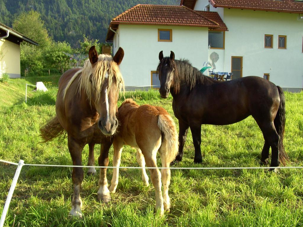 Ferienwohnung Millonigg Vorderberg Zimmer foto